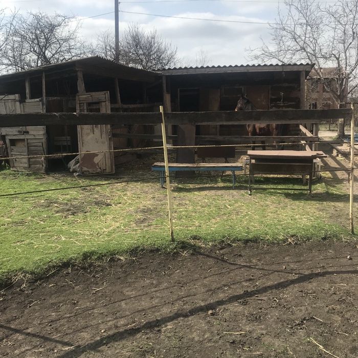Будинок на вул. Балхаська, 25, ID 416167, фото №3