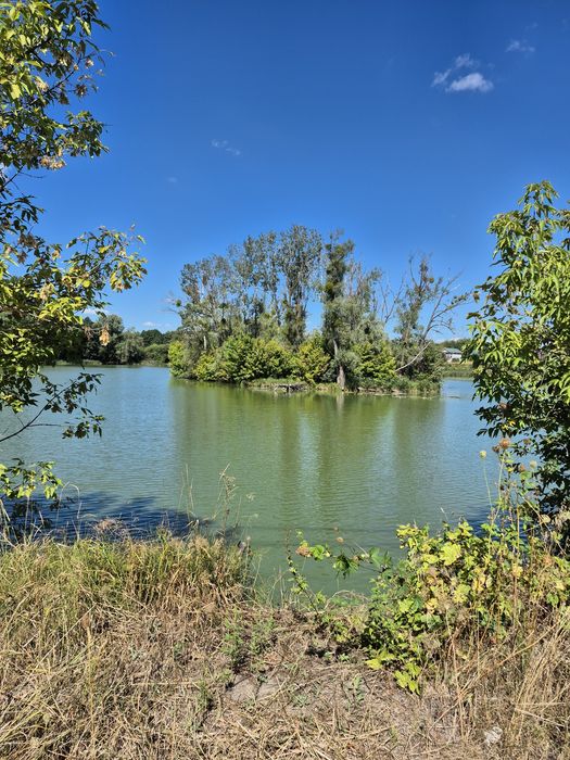 Квартира в Києві, ID 351845, фото №18