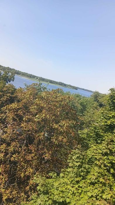 Квартира в Кременчуці, ID 351947, фото №11