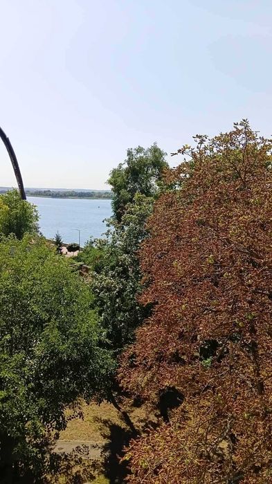 Квартира в Кременчук, ID 351947, фото №3
