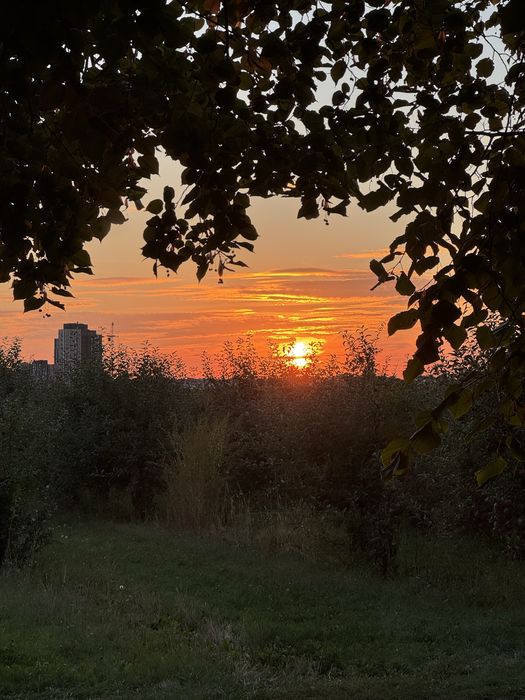 Квартира на ЖК "Софія Нова" в Києві, ID 352684, фото №20