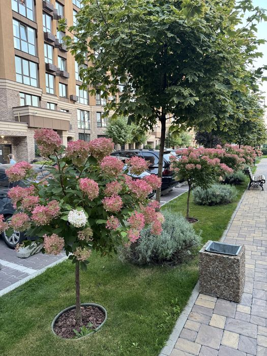 Квартира на ЖК "Софія Нова" в Київ, ID 352684, фото №5