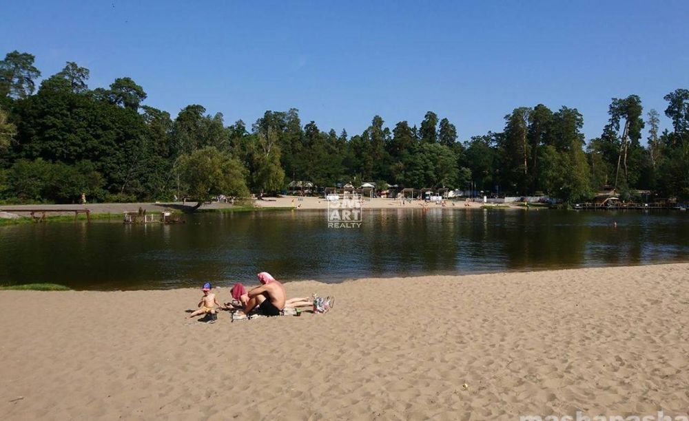 Квартира на вул. Квітки Цісик, 32 в Київ, ID 355585, фото №4