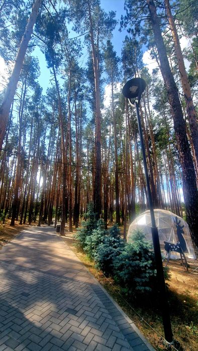 Квартира на Гостомель в Києві, ID 353809, фото №18