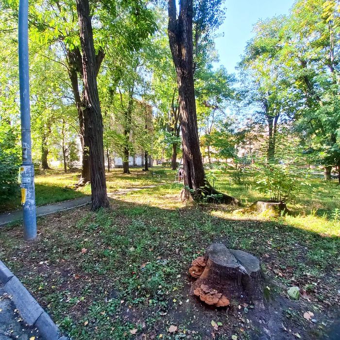 Квартира на вул. Донця, 5 в Києві, ID 354699, фото №13