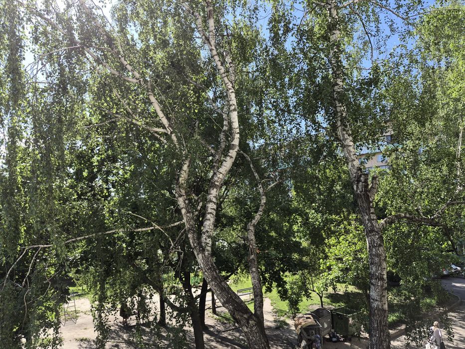 Квартира на вул. Тулузи, 3 в Києві, ID 355328, фото №15