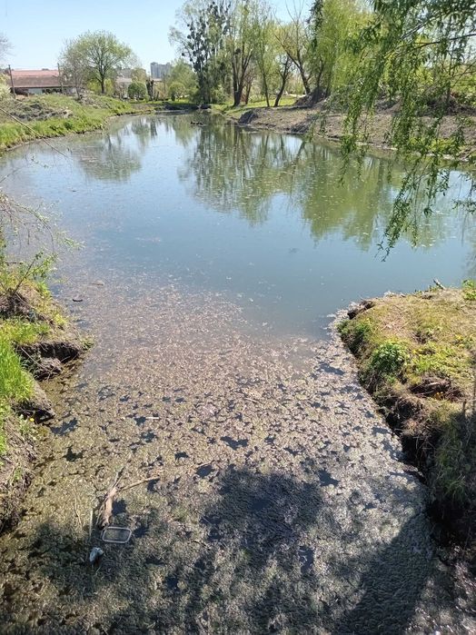 Квартира на Солом'янський в Києві, ID 356151, фото №4