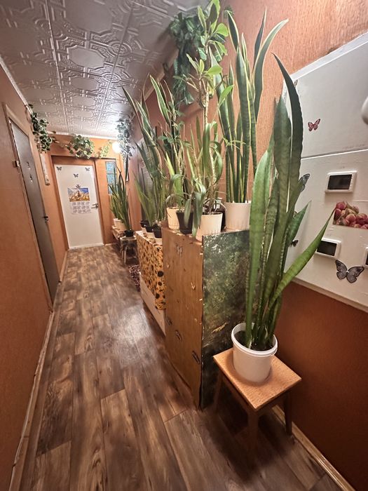 Квартира на вул. Метрологічна, 14 в Києві, ID 372738, фото №10
