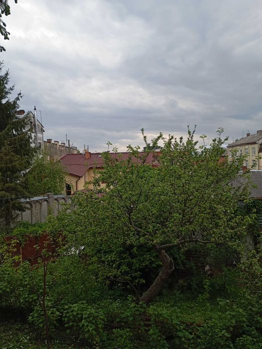 Квартира на вул. Князя Лева в Львові, ID 358232, фото №11