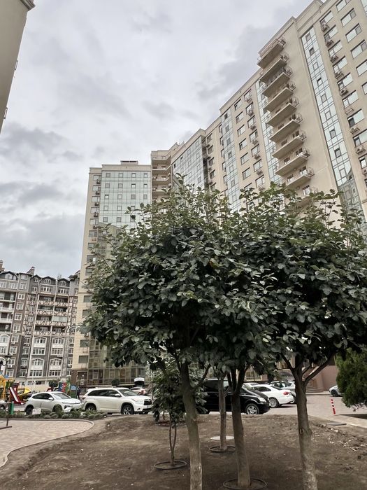 Квартира на вул. Марсельська, 35А в Одесі, ID 359841, фото №22