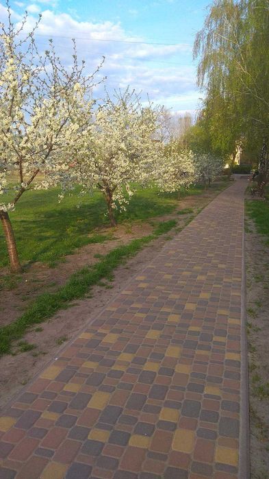 Квартира на вул. Машинобудівників, 5 в Києві, ID 359069, фото №20