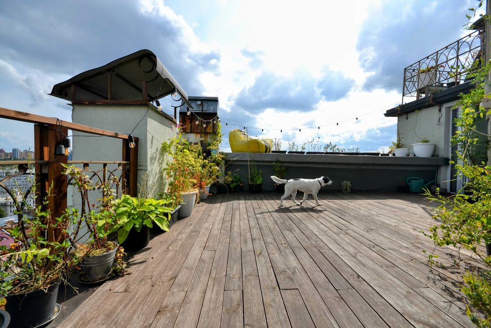 Квартира на вул. Тараса Шевченка, 11 в Києві, ID 361719, фото №9
