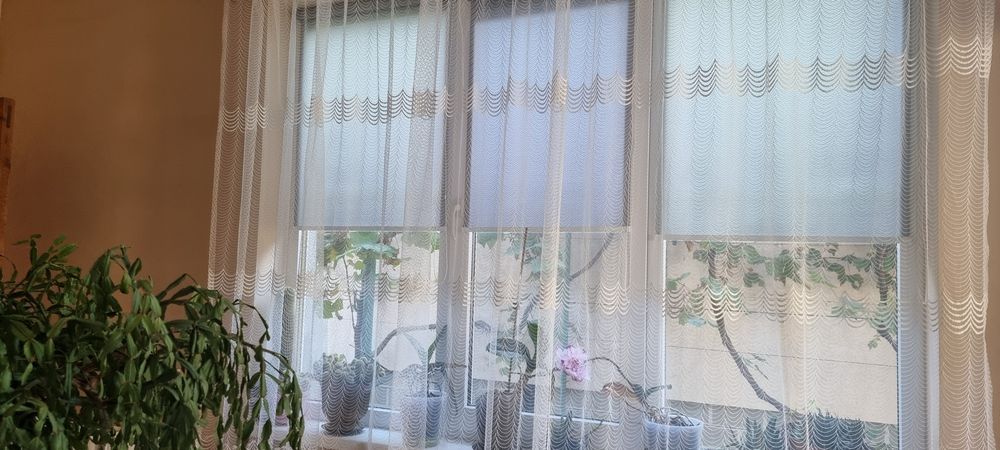 Будинок, Ужгород у Закарпатській області, ID 416028, фото №10