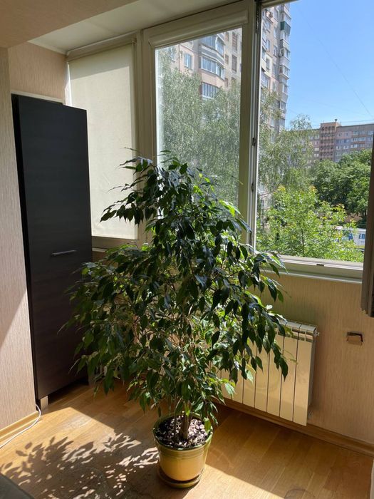 Квартира на просп. Георгія Гонгадзе, 26 в Києві, ID 362782, фото №3