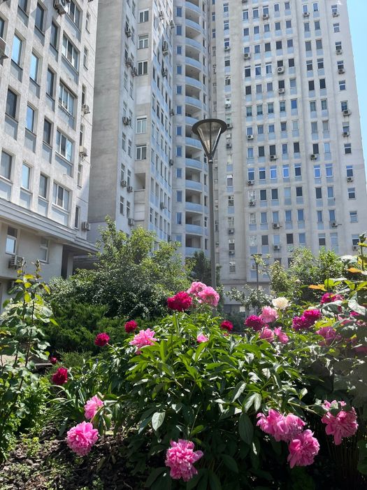 Орендувати квартиру за адресою вул. Зверинецка, 14-16 на Findly.com.ua Квартира на вул. Зверинецка, 14-16, ID 363207, фото №1