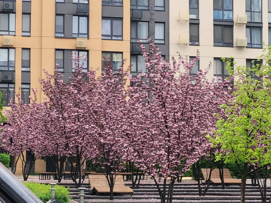 Квартира на ЖК Файна Таун в Києві, ID 363220, фото №20