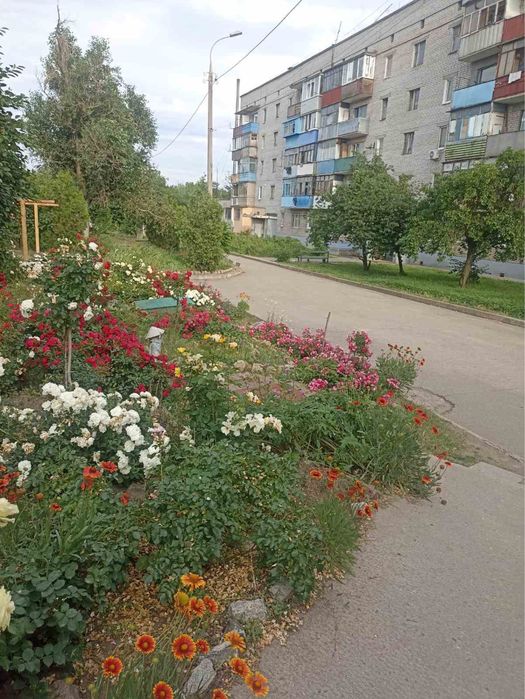 Квартира на вул. Цегельного заводу, 8 в Запоріжжі, ID 365988, фото №2