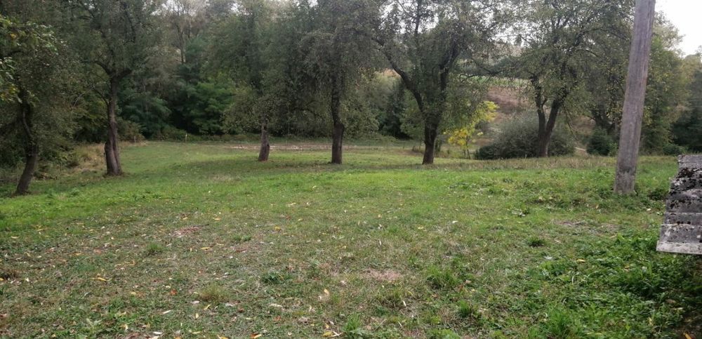 Будинок, Чернівці у Чернівецькій області, ID 423615, фото №6