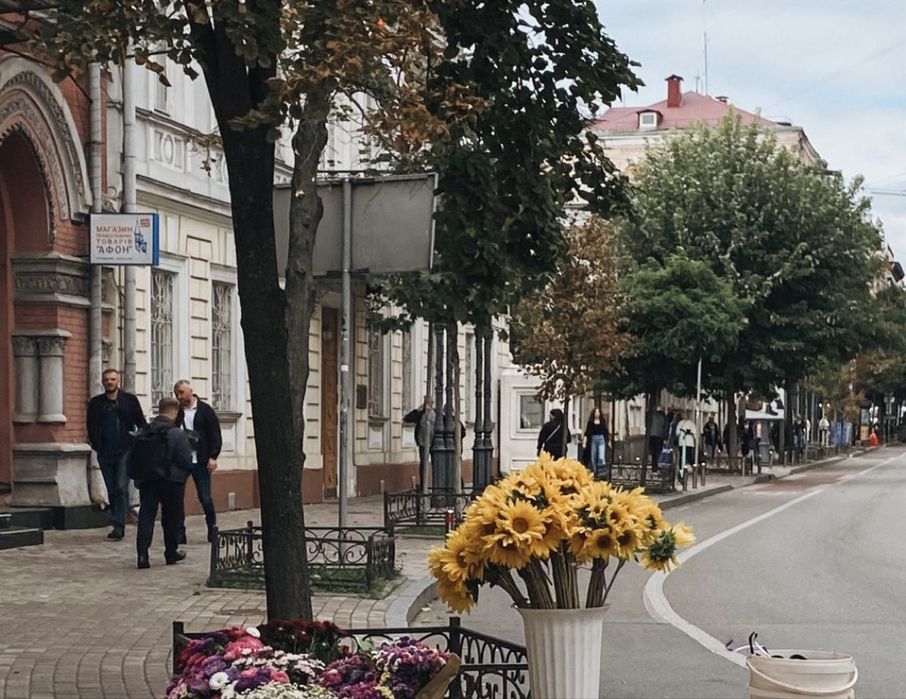 Квартира на вул. Золотоворітська, 2А в Києві, ID 366959, фото №13