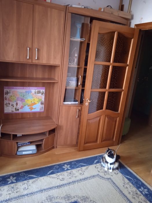Квартира на просп. Червоной Калины в Києві, ID 367015, фото №6