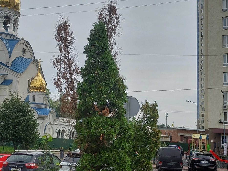 Квартира на вул. Глушкова, 9Г в Києві, ID 367034, фото №11