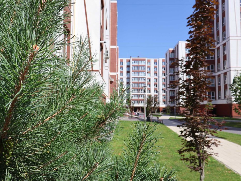 Квартира на вул. Коновальця в Івано-Франківську, ID 368079, фото №2
