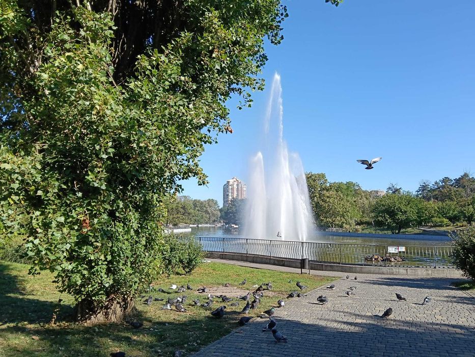 Квартира на просп. Шевченка в Одесі, ID 369191, фото №12