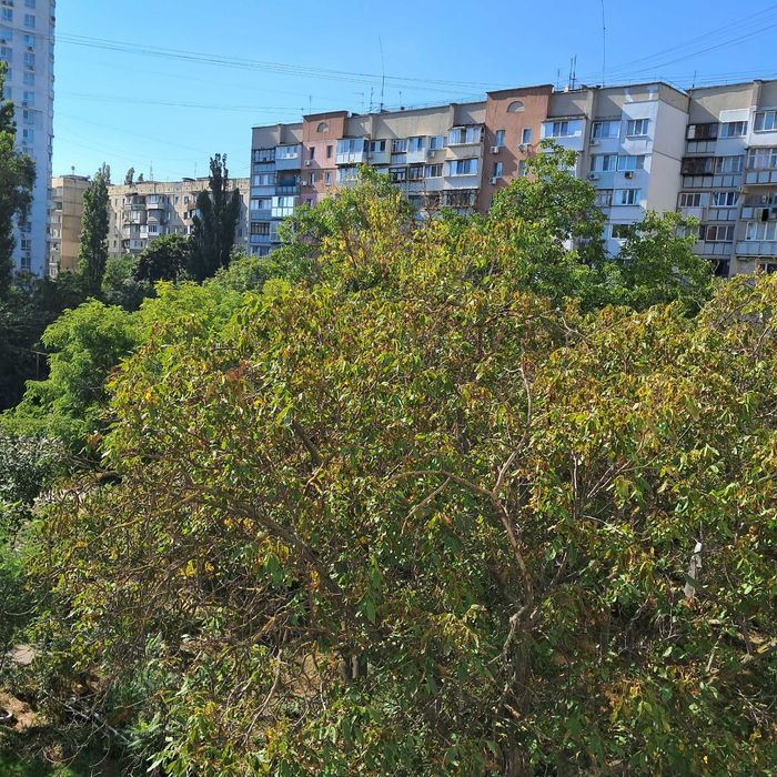 Квартира на вул. Ярослава Мудрого, 3, ID 372020, фото №1