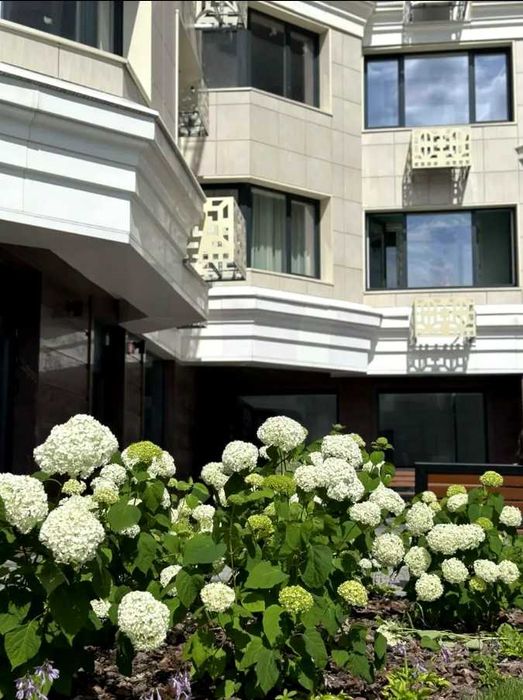Квартира на вул. Золотоустівська, 25 в Києві, ID 373459, фото №14
