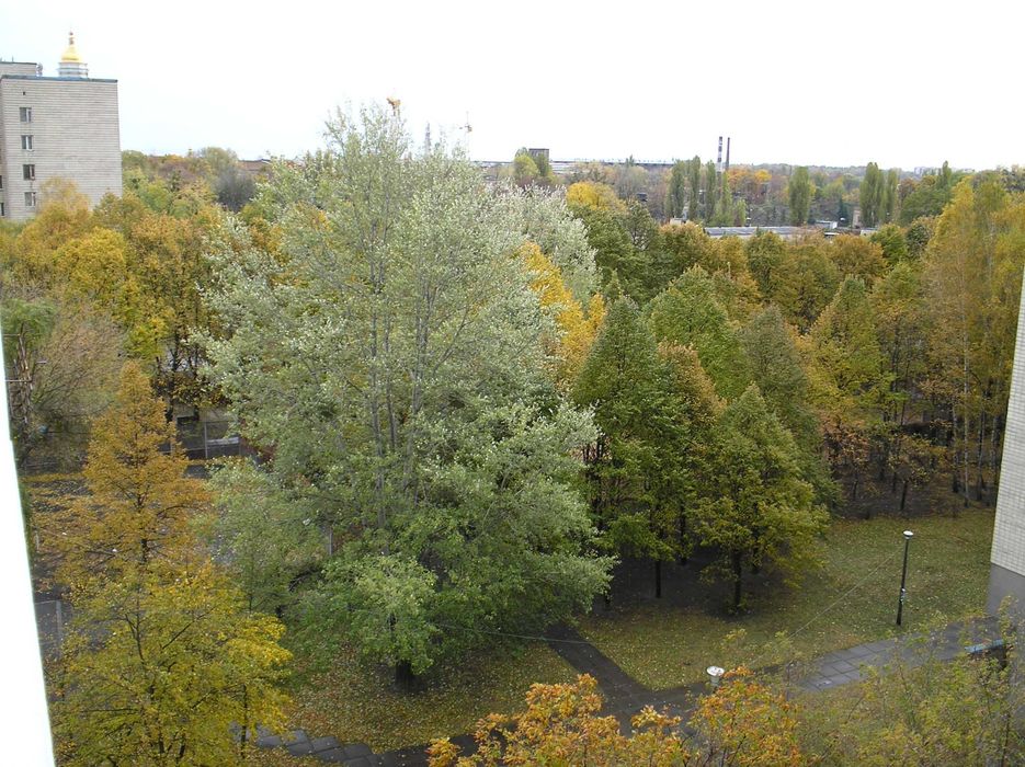 Квартира на вул. Михайла Омеляновича-Павленка, 5 в Києві, ID 373510, фото №8