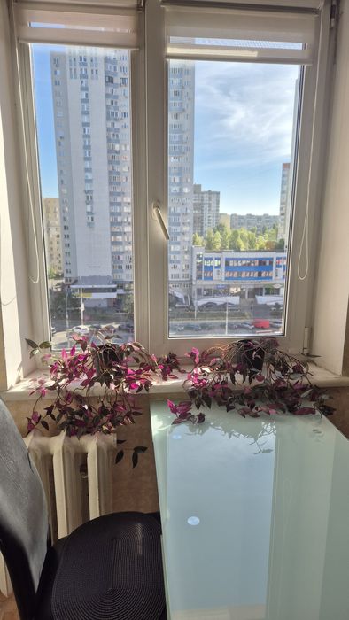 Квартира на просп. Червоної Калини, 91В в Києві, ID 373533, фото №14
