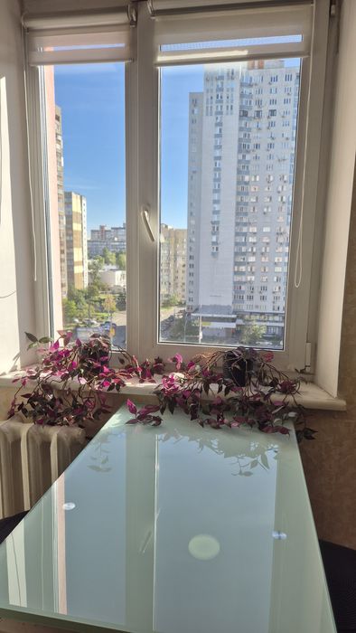 Квартира на просп. Червоної Калини, 91В в Києві, ID 373533, фото №5