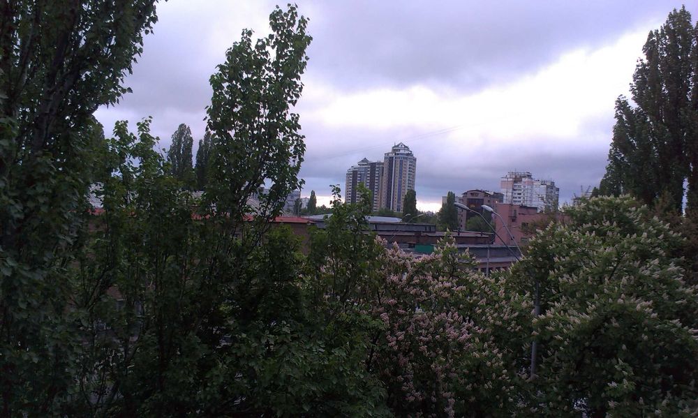 Квартира на вул. Олени Теліги в Києві, ID 374030, фото №10