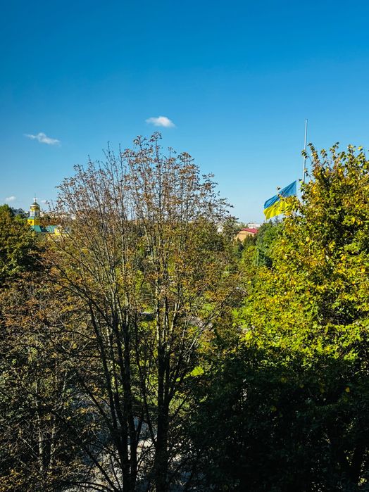 Квартира на вул. Валерія Гудзя, 10 в Києві, ID 374132, фото №10