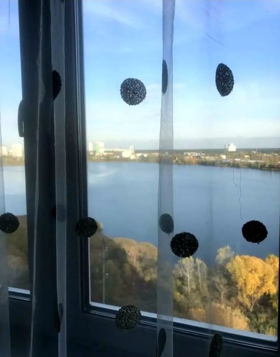 Квартира на вул. Ревуцького, 54 в Києві, ID 374197, фото №16
