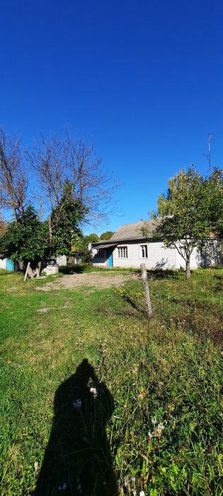 Будинок на Житомирська область, Чоповичі, ID 422893, фото №2