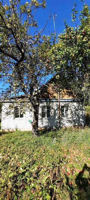 Будинок, Чоповичі у Житомирській області, ID 422893, фото №7