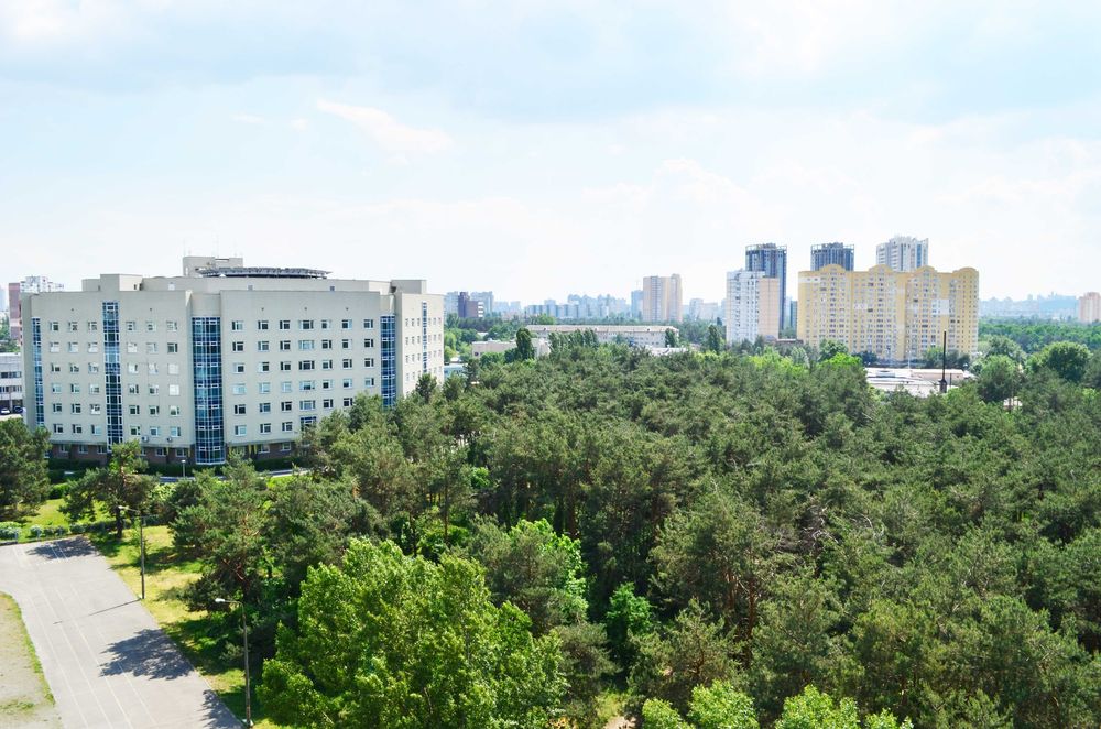 Квартира на вул. Братиславська, 9а в Києві, ID 375530, фото №9