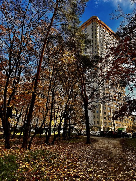 Квартира на вул. Олевська, 5 в Київ, ID 377278, фото №2