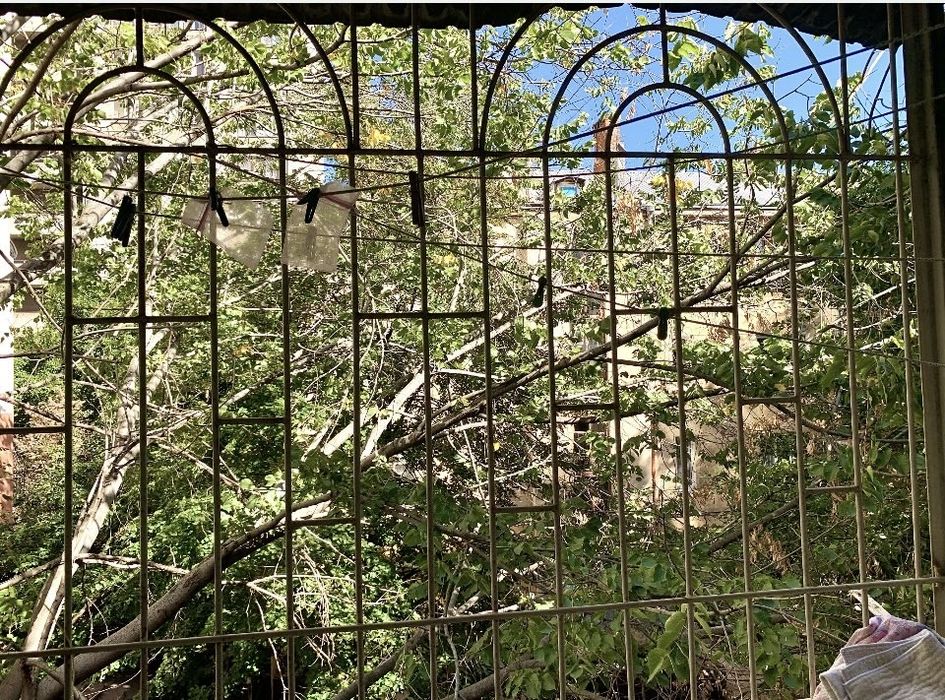 Квартира на Приморський в Одесі, ID 378052, фото №5