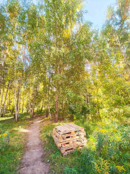 Квартира на вул. Відродження, 7 в Києві, ID 381551, фото №15