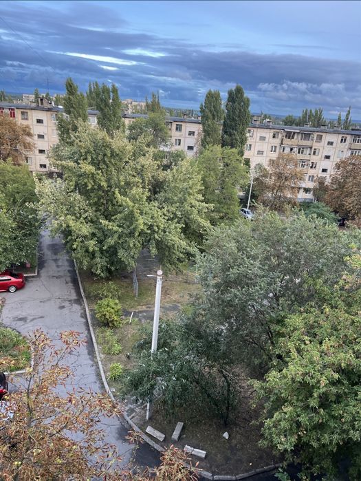 Квартира — Кременчук в Кременчуці, ID 381781, фото №12
