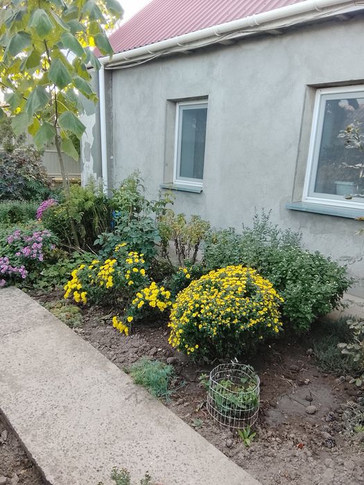 Будинок, Хоминка в Одеській області, ID 423470, фото №6