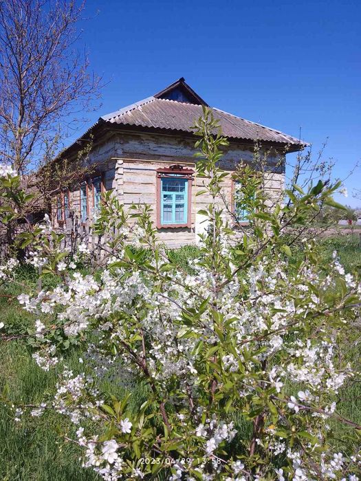 Будинок на Чернігівська область, Слабин, ID 423619, фото №1
