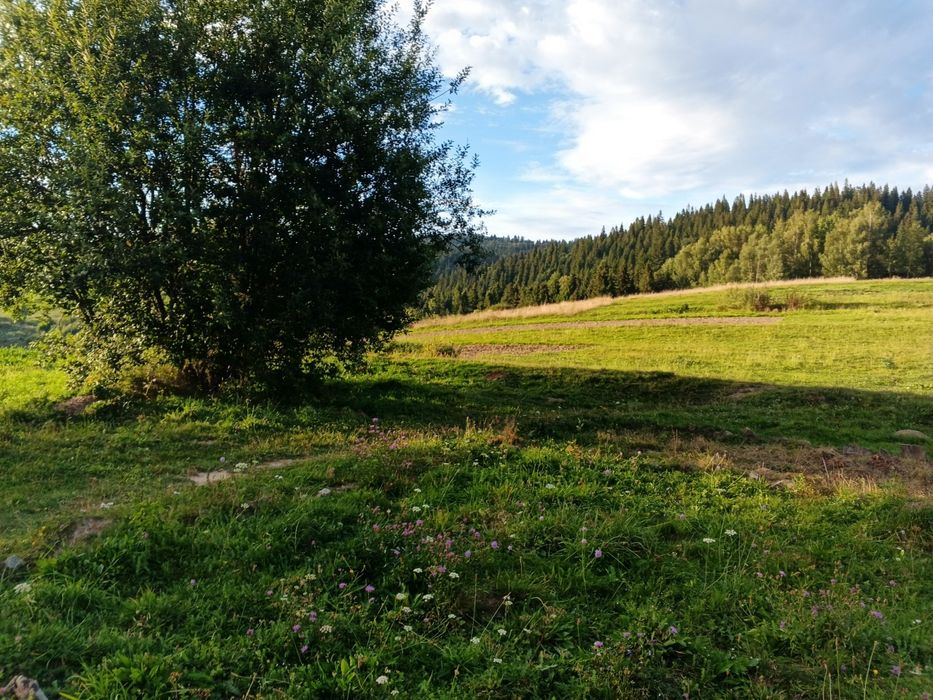 Будинок на Львівська область, Турка, ID 423695, фото №5