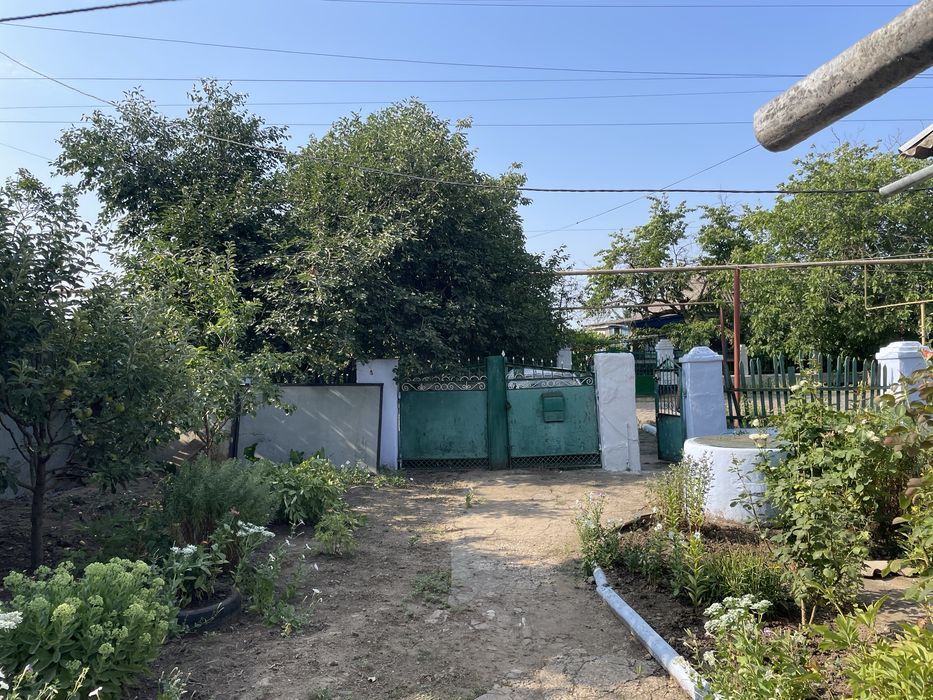 Будинок, Веселинове, вул. Садова, 16 у Миколаївській області, ID 423624, фото №6
