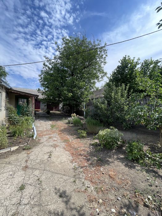 Будинок, Веселинове, вул. Садова, 16 у Миколаївській області, ID 423624, фото №7
