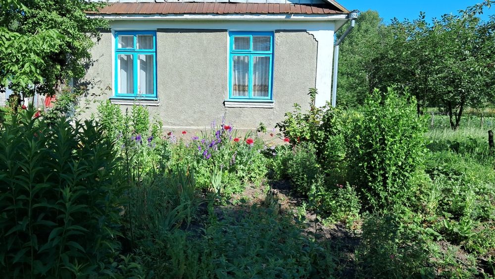 Будинок на Рівненська область, Даничів, ID 423657, фото №2