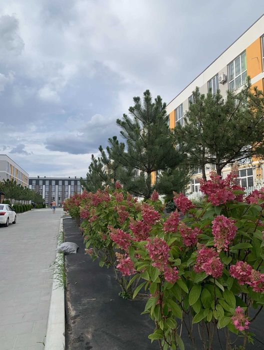 Квартира на ЖК Санвіль Парк в Києві, ID 383635, фото №3