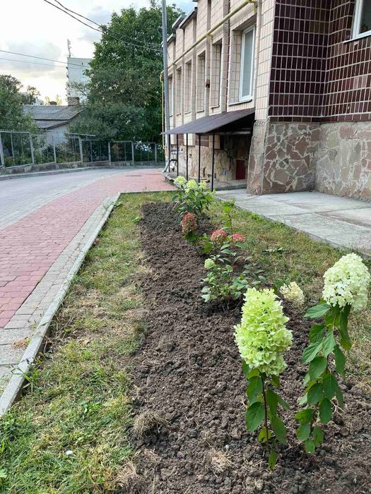 Квартира — Тернопіль в Тернополі, ID 383710, фото №2